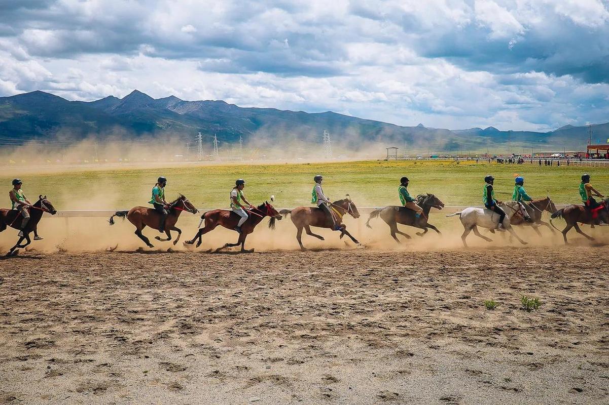 包含特色山地骑马赛,穿越草原的速度与激情的词条 包含特色山地骑马赛,穿越草原的速度与激情的词条