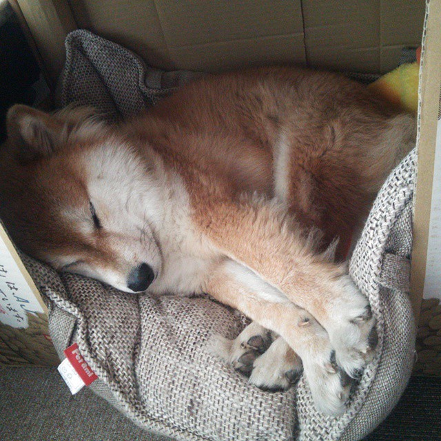 《未来十年电竞发展重点:科技创新与内容多元化》,电竞行业未来十年发展前景