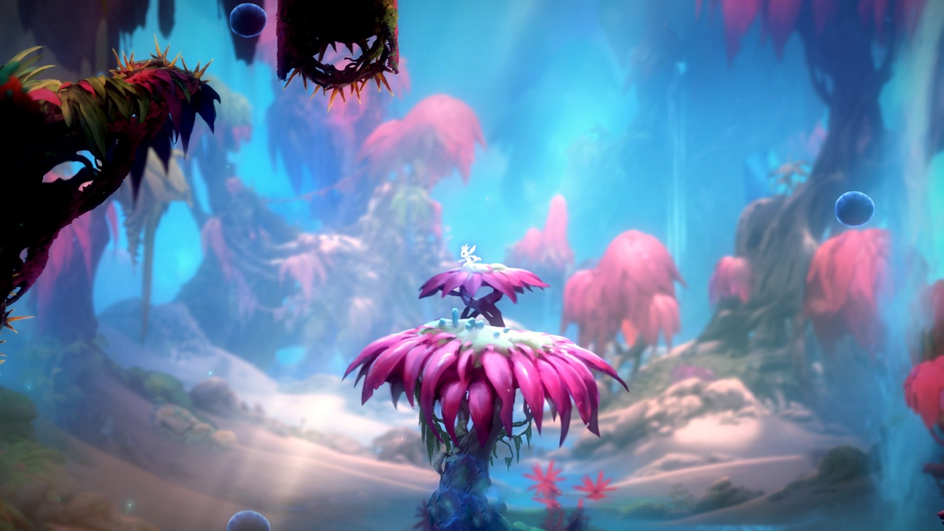 【规则变革的测试】哪些新规则已成功试点?效果怎样?,规则改革