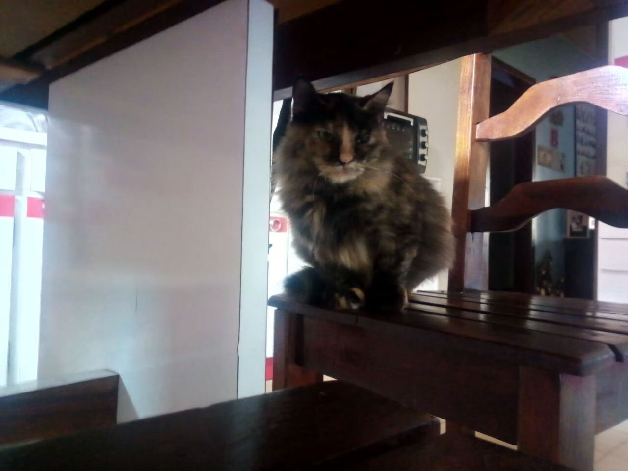 科比在总决赛中的“神瞬间”,永远铭刻人心!,科比总决赛高光时刻