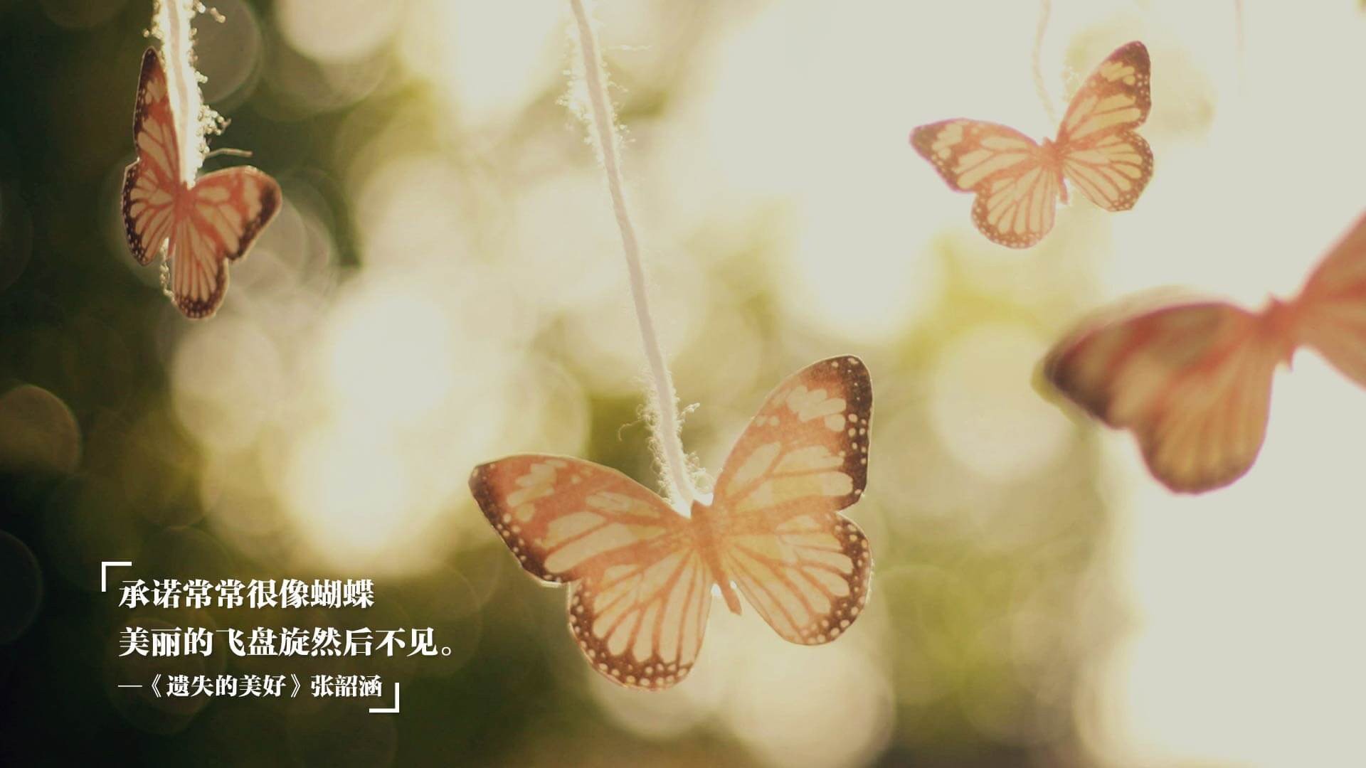 亚洲杯冠军助力中国足球崛起 利好消息频传，亚洲杯冠军2021