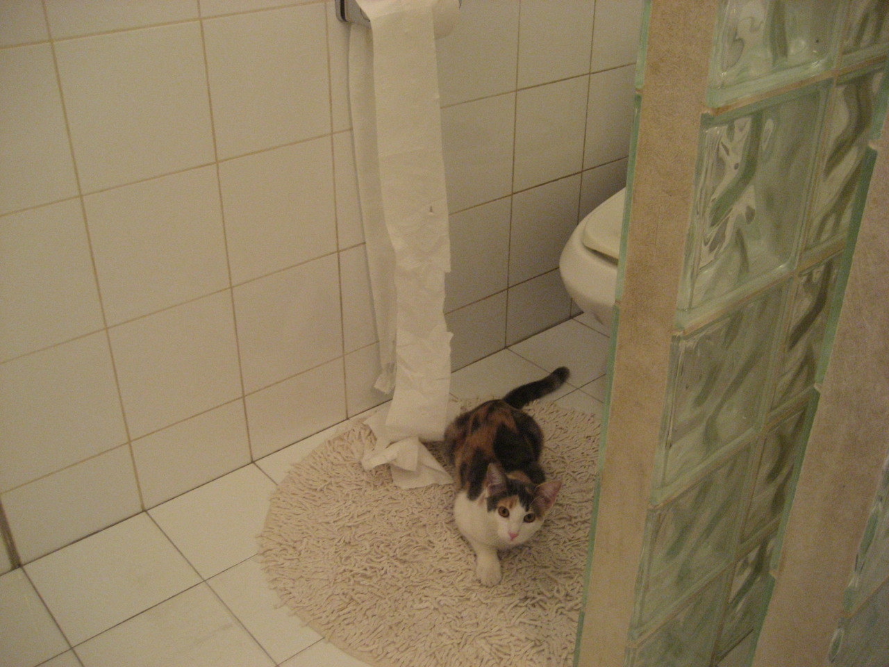 扎马莱克签约新赞助商,提升品牌影响力,扎克莱罗