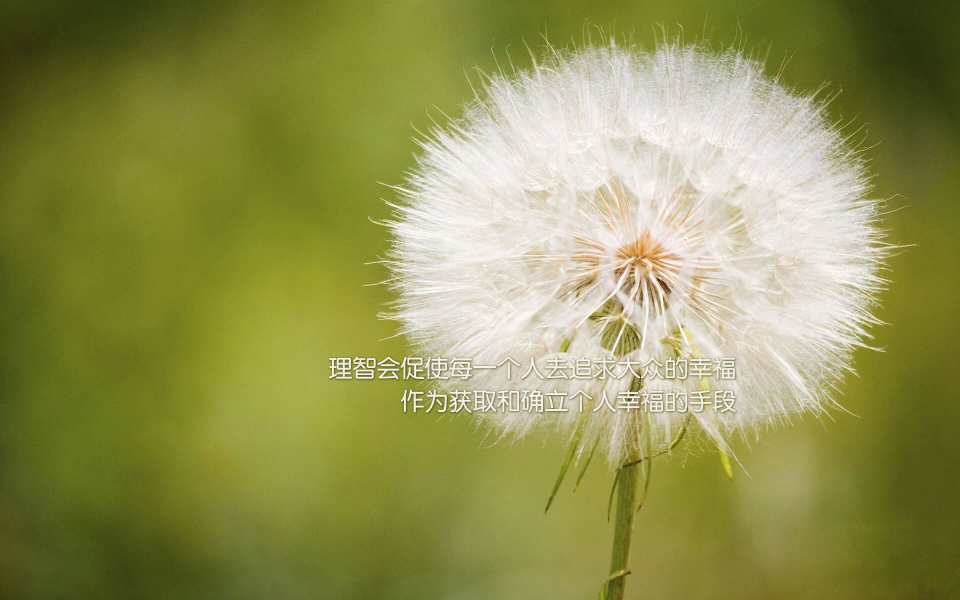 欧国联小组赛完美收官,国家队瞄准欧锦赛夺冠,欧国联小组赛前几名晋级