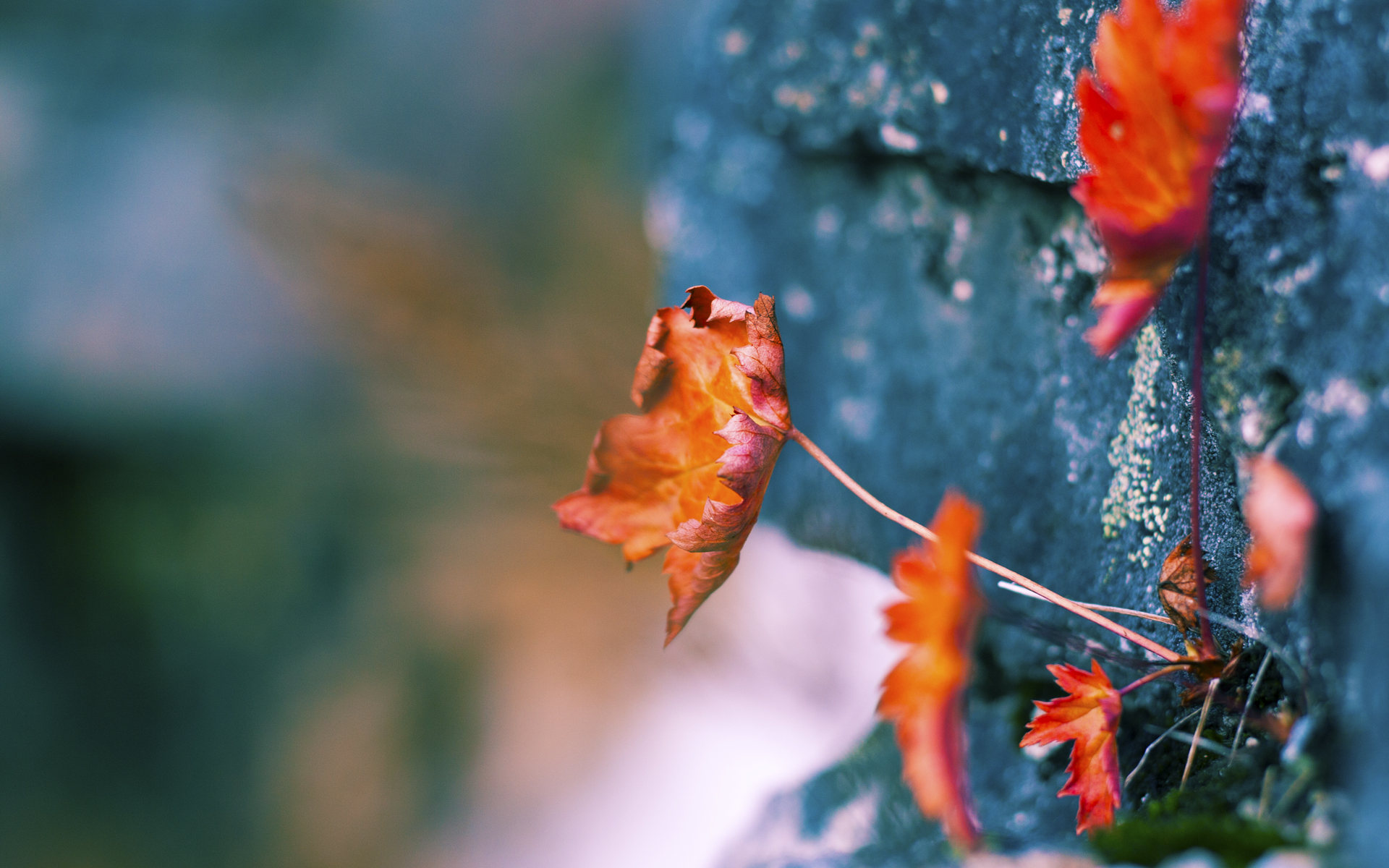 欧国联赛赛程紧张,球队备战各具特色,欧国联赛程比赛结果