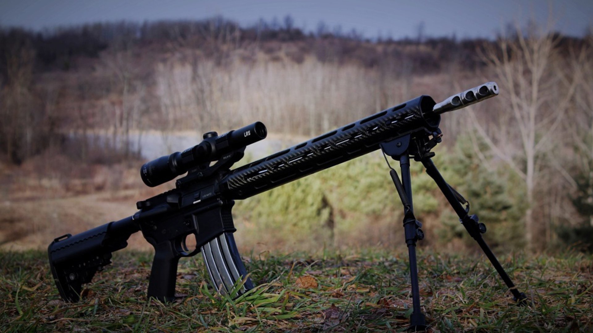 法国女篮夺得欧锦赛冠军,实力尽显,法国篮球欧锦赛冠军