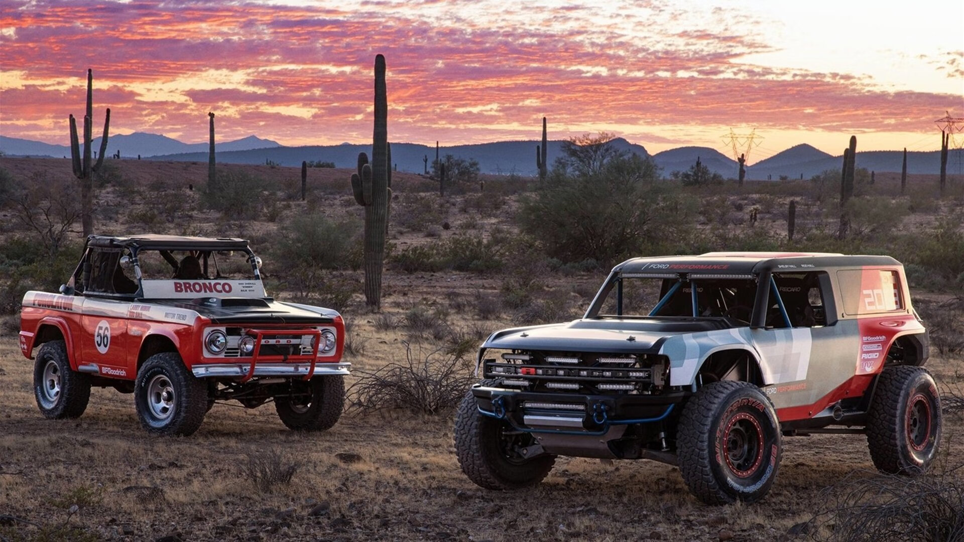 法国女足强势夺冠，成为夺冠热门，法国女足队员