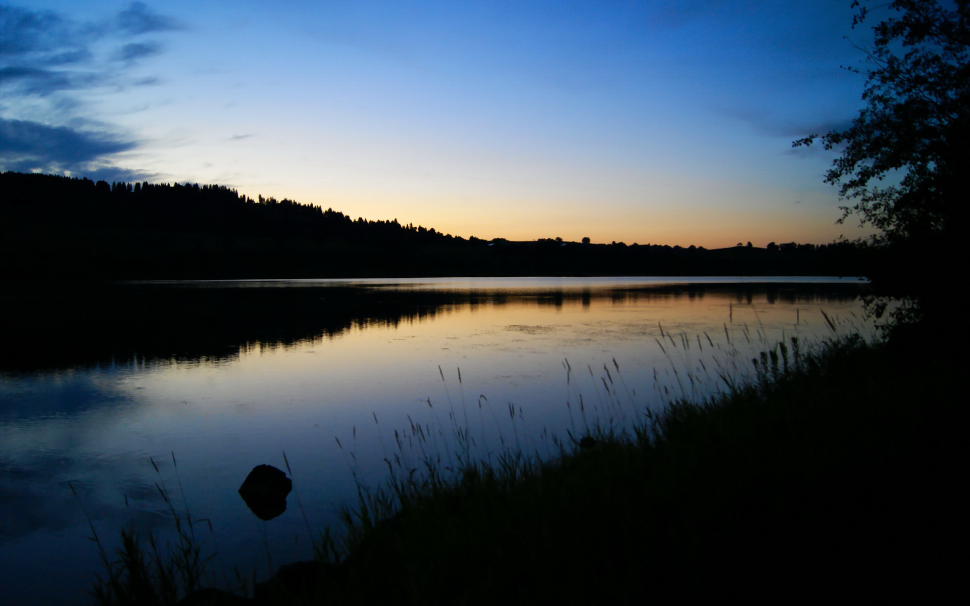 体育新闻语言规范与受众接受度分析,体育新闻语言规范与受众接受度分析报告