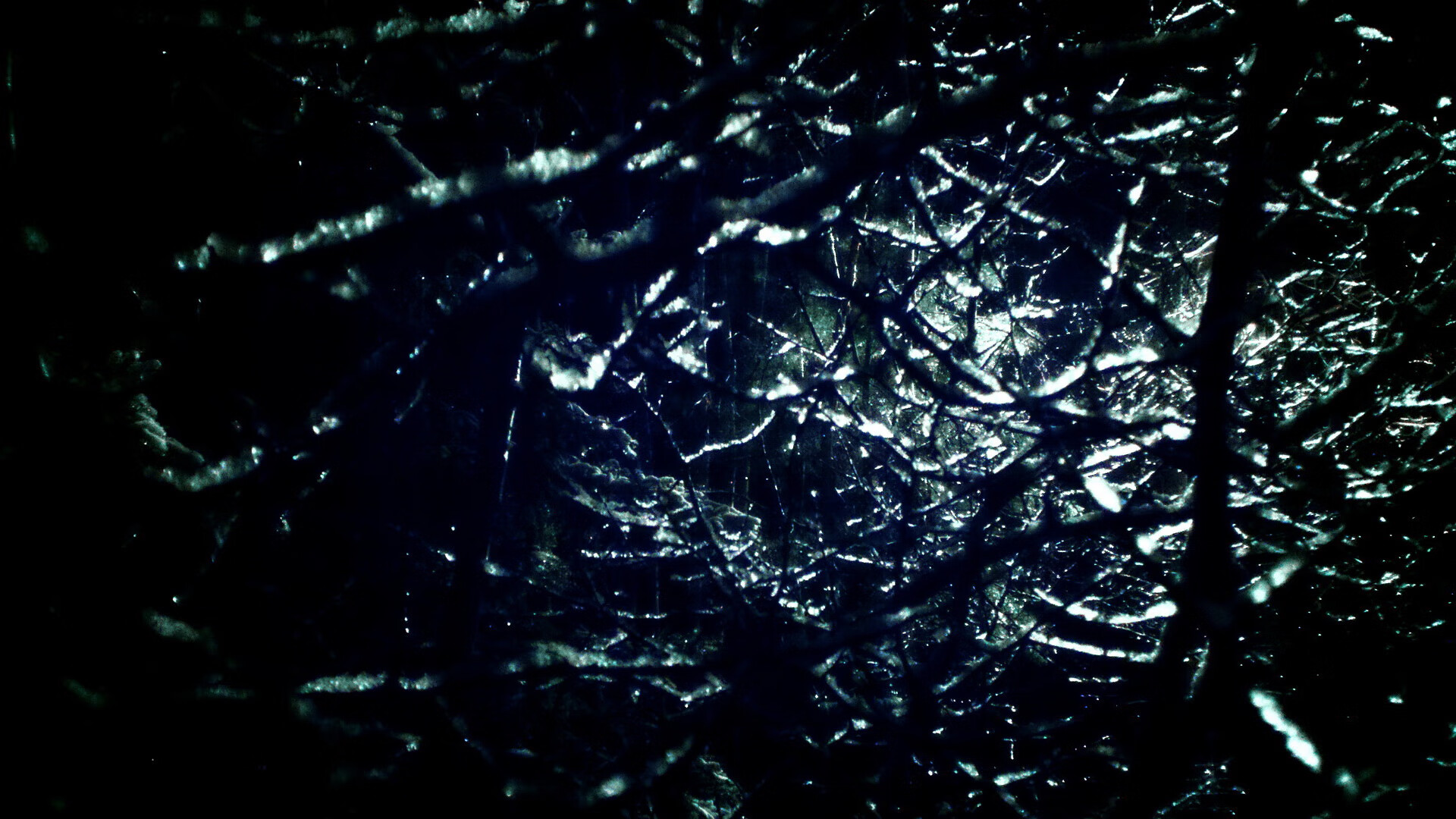 体育明星创业项目频现科技元素，体育明星商业化