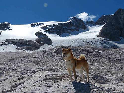 替补席火力全开谁是板凳奇兵,板凳球员和替补球员