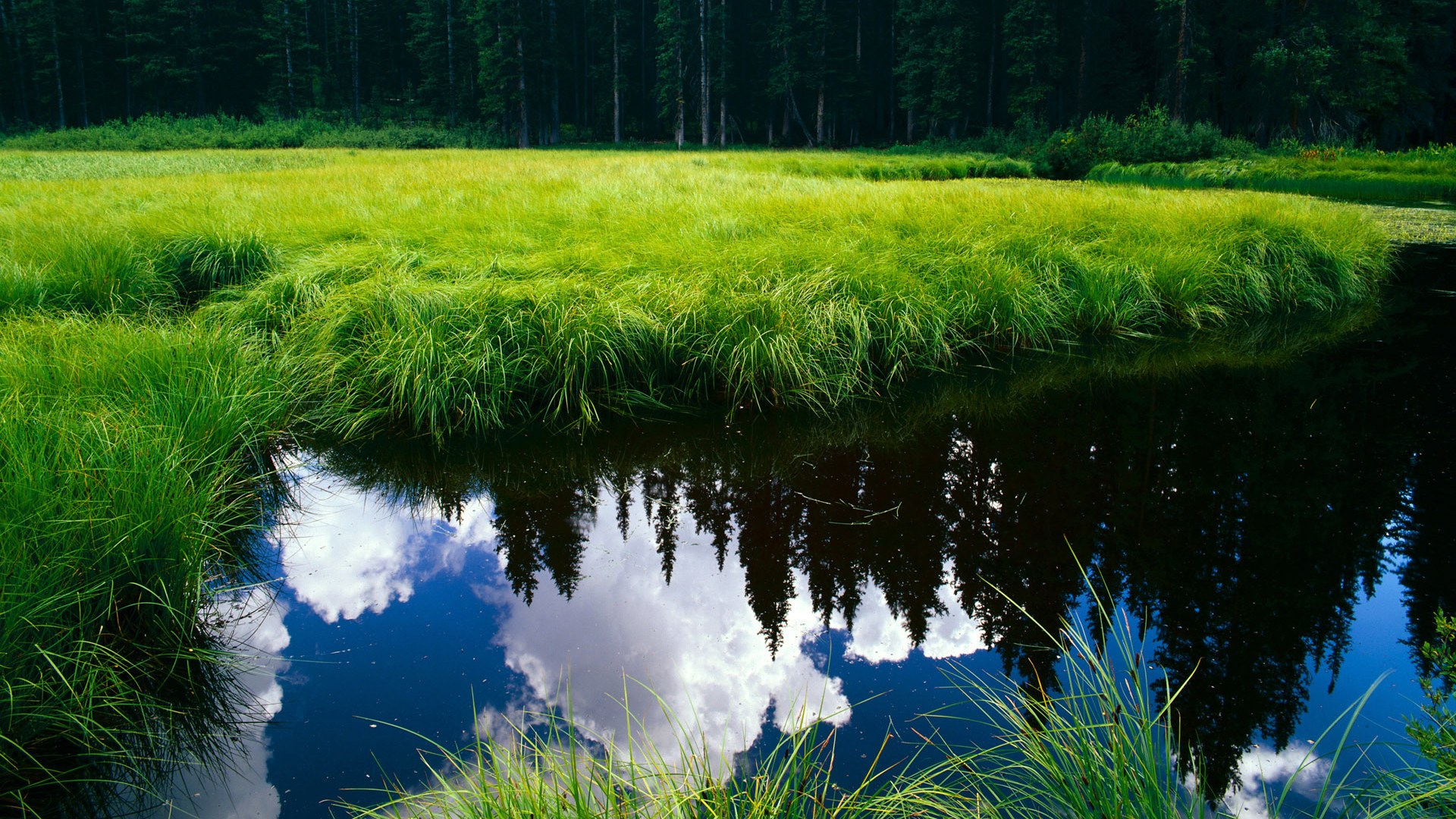 杨瀚森夏季联赛表现引发媒体热议，杨瀚森夏季联赛表现引发媒体热议吗