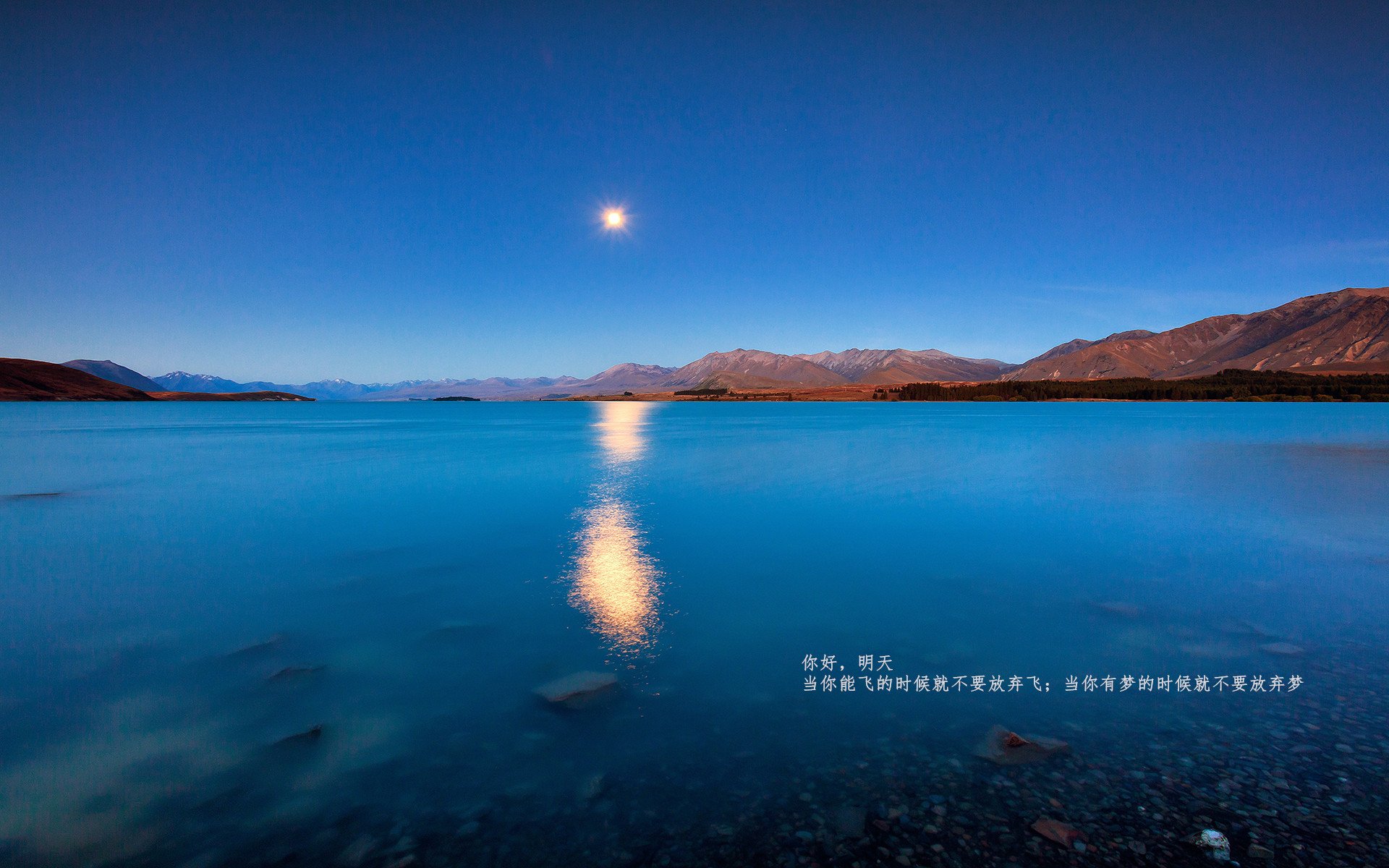 乐鱼电竞-维拉反击效率明显提升成为制胜关键，维拉输出