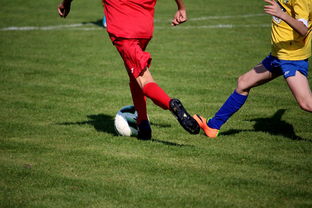 LeyuSports-国家女篮训练日程公开每日训练内容紧张高效，国家队女篮在哪里训练