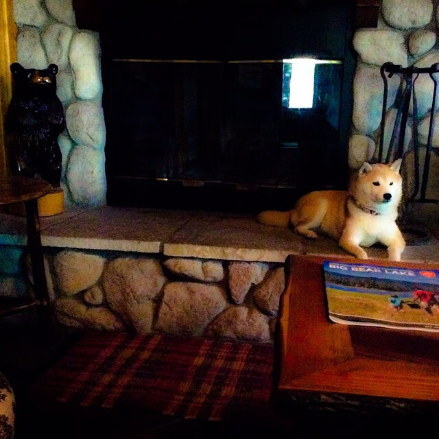 leyu乐鱼-西甲惊险逆转：令人心跳加速的全场秀！，vll西甲