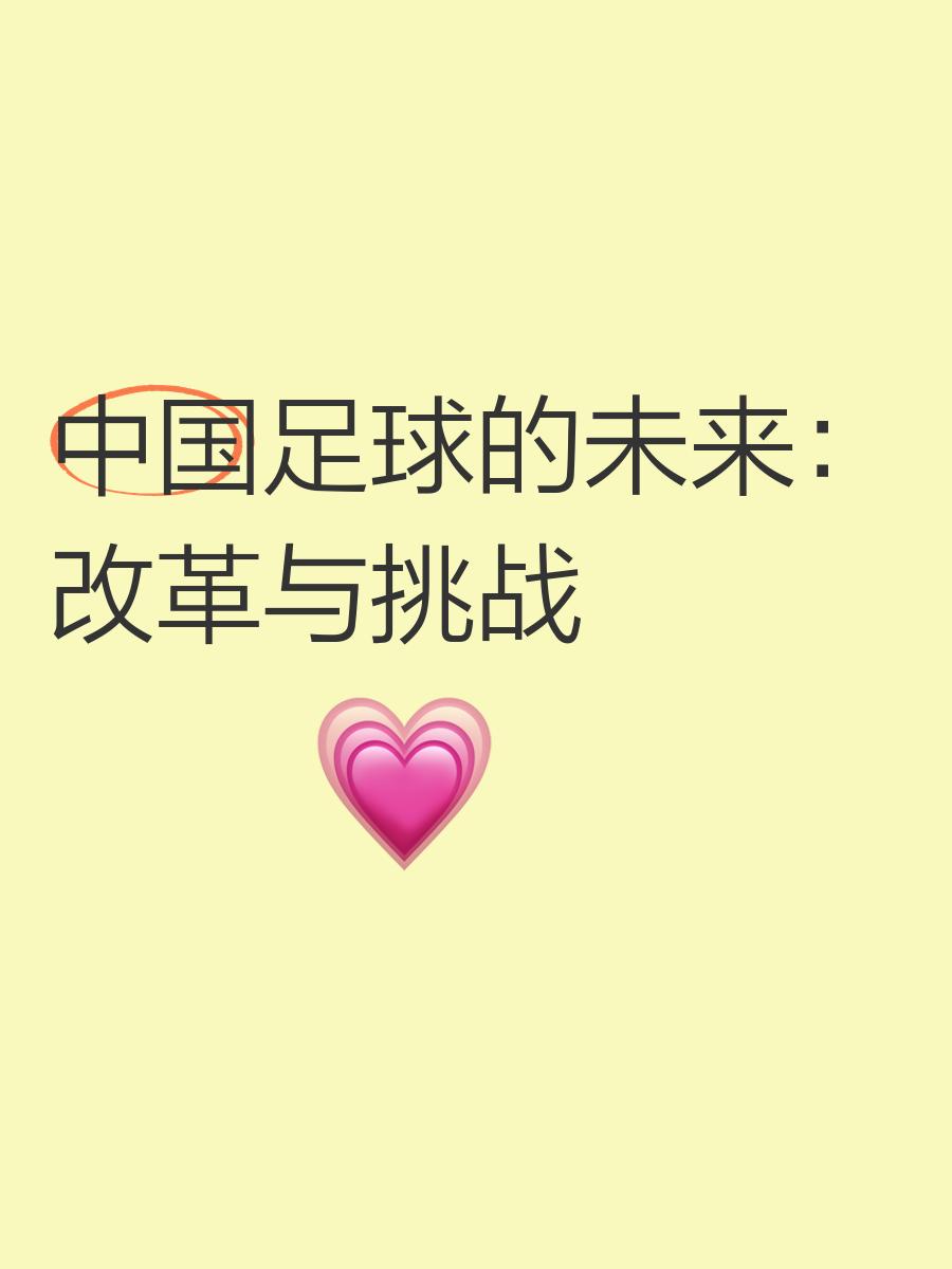 关于国际视野下的中国足球：从引援看未来发展的信息