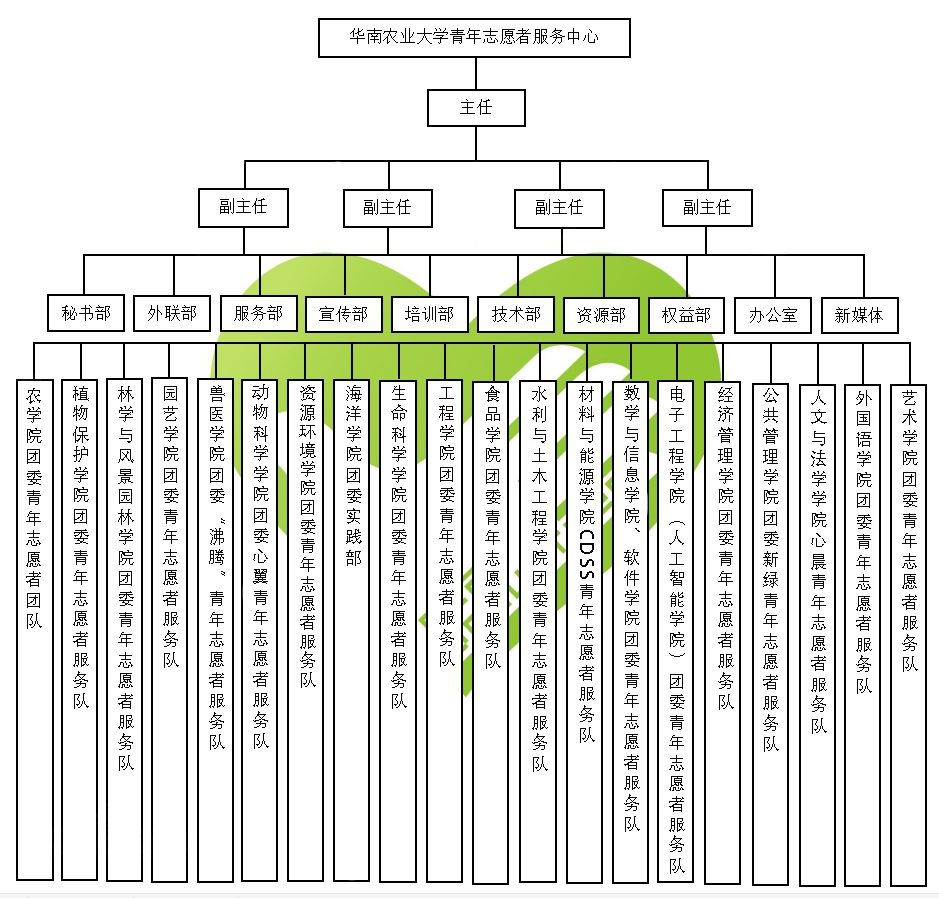 中国足球的社会责任：如何帮助青少年成长？